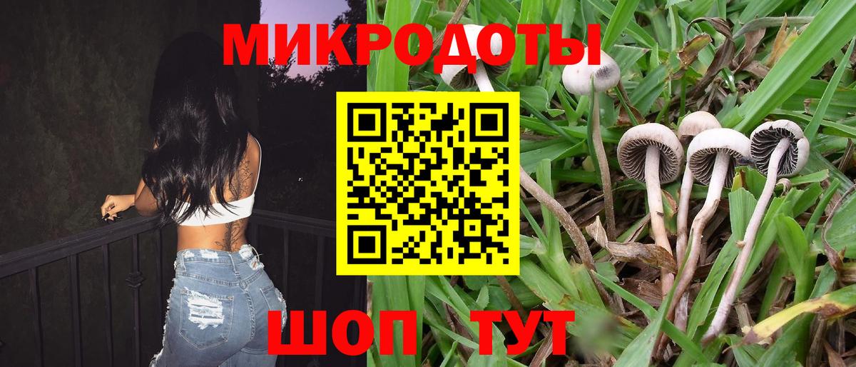 Галлюциногенные грибы мухоморы  наркота  Майский  Вход с VPN  Псилоцибиновые грибы Cubensis 