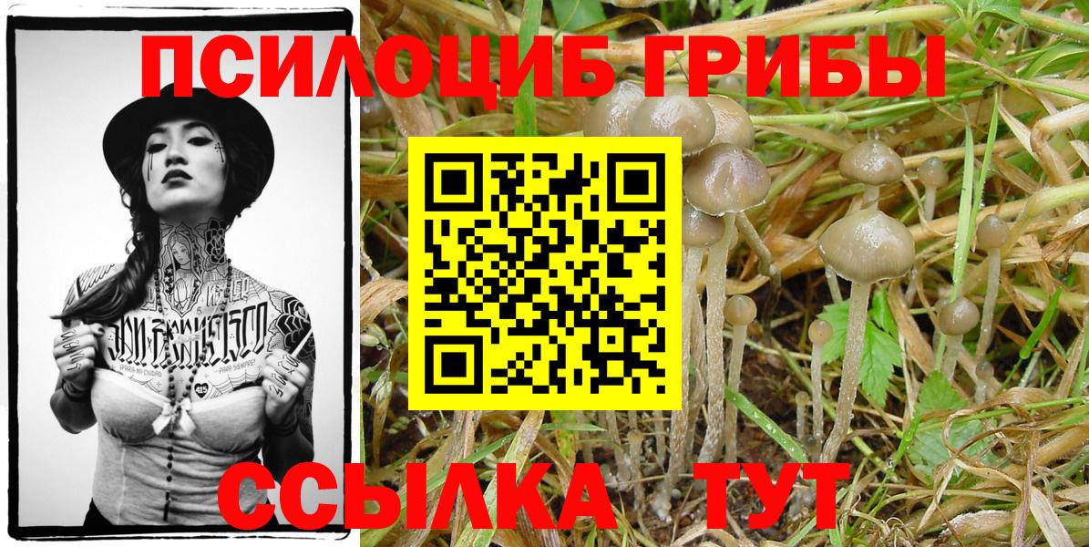 Галлюциногенные грибы Magic Shrooms Майский